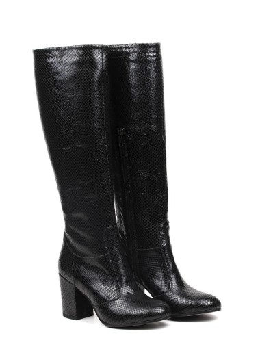 STIVALE 2092