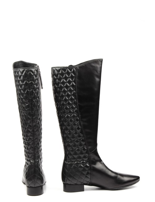 STIVALE 53780