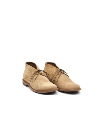 POLACCO 16122A