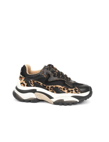 SNEAKER ADDICT
