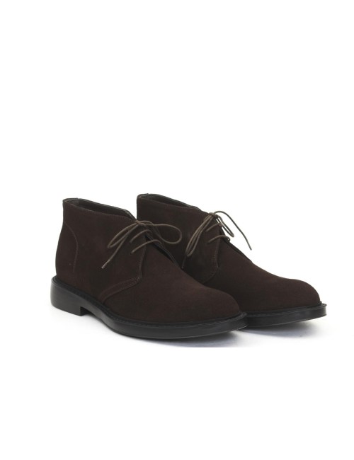 POLACCO 7565