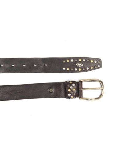 BELT PV22223