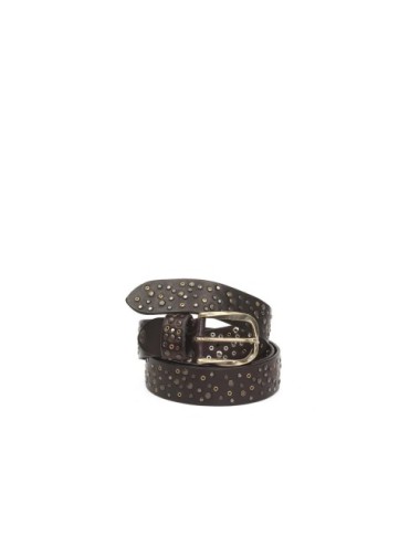 BELT PV2222