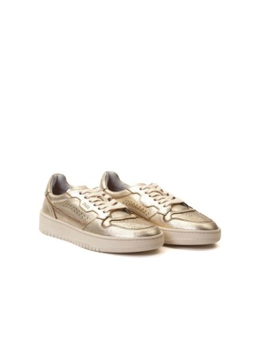 SNEAKER HC01A