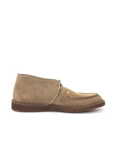 POLACCO 18500A