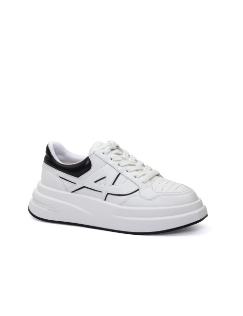 SNEAKER ICONE