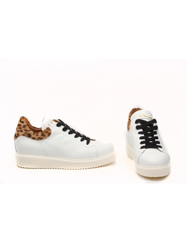 VIA ROMA SNEAKER 2221